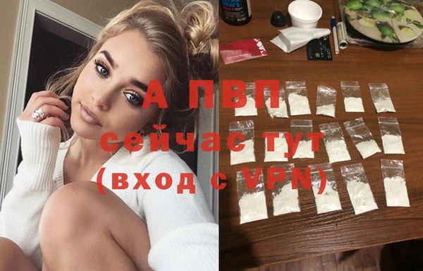 тгк Белокуриха