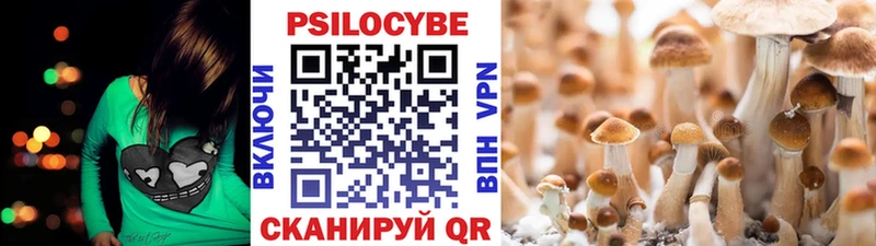 Галлюциногенные грибы мухоморы Гай